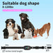 Automatic Dog Collar