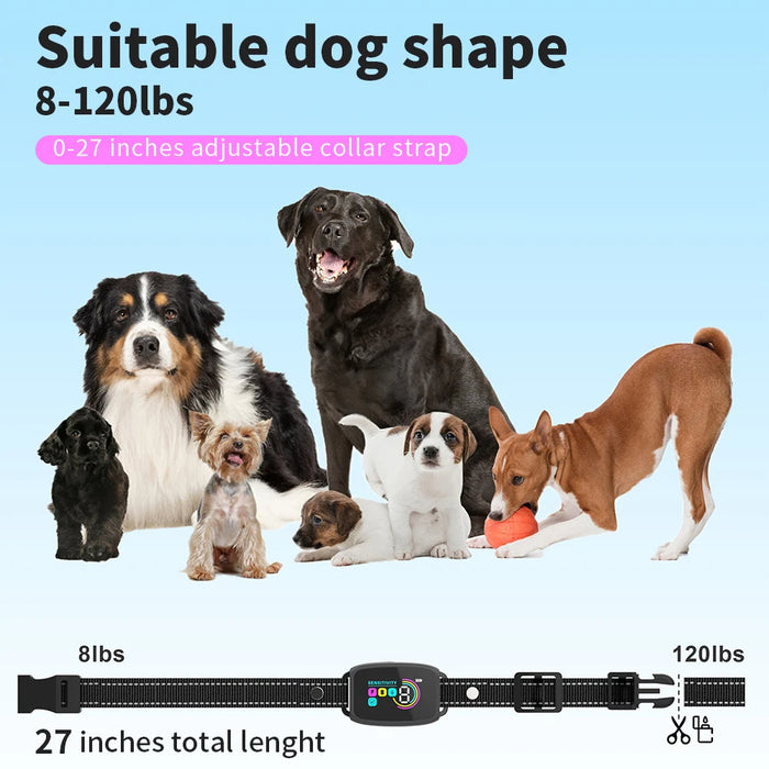 Automatic Dog Collar