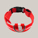 Luminous Dog Collar with ID Tag Red