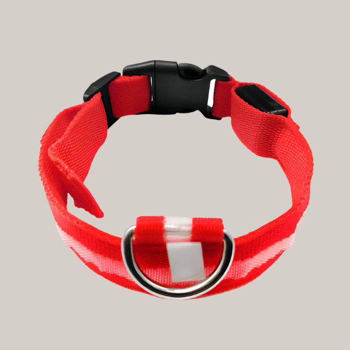 Luminous Dog Collar with ID Tag Red