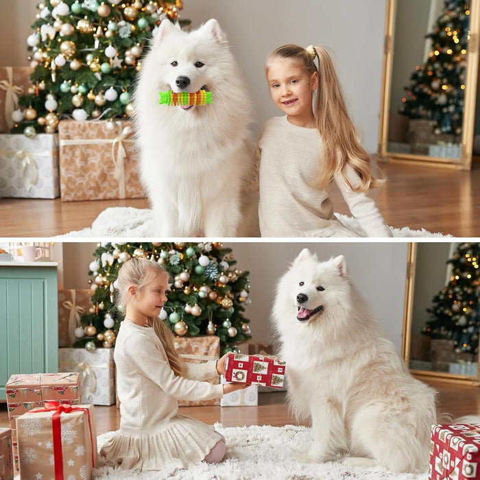Outdoor Dog Toys For Entertainment