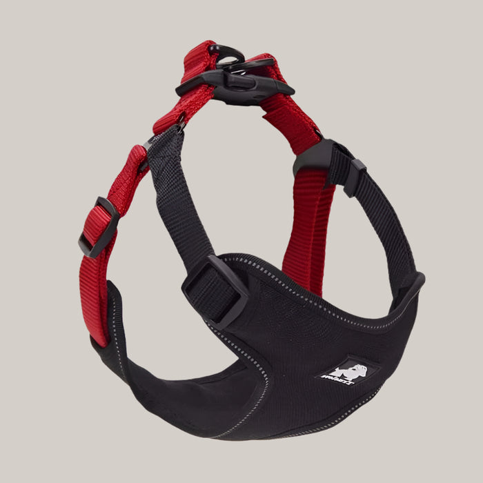 Dog Collar and Walking Leash Set Black red