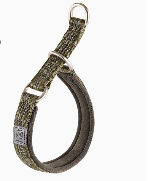 P Chain Dog Walking Collar