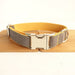 Classic Everyday Dog Collar