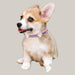 Adjustable Puppy Collar with Paw Rivets