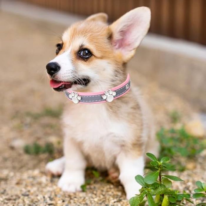 Adjustable Girl Puppy Dog Collars With Cute Paw Rivet