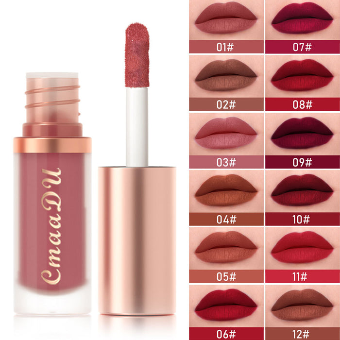 12-color Lipstick Velvet Lip Gloss