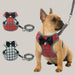 Everyday Dog Leash