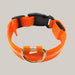 Luminous Dog Collar with ID Tag Orange