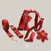 Dog Collar with Leash Attachment 6PC Set