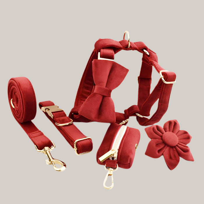 Dog Collar with Leash Attachment 6PC Set