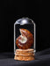 Natural Crystal Ore Specimen Ornaments Rock Conch fossils