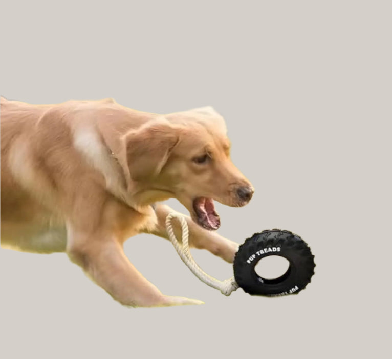 Durable Dog Toy for Strong Chewers