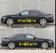 Car Stickers, Pine Tree Graphics, Body Stickers, Garland
