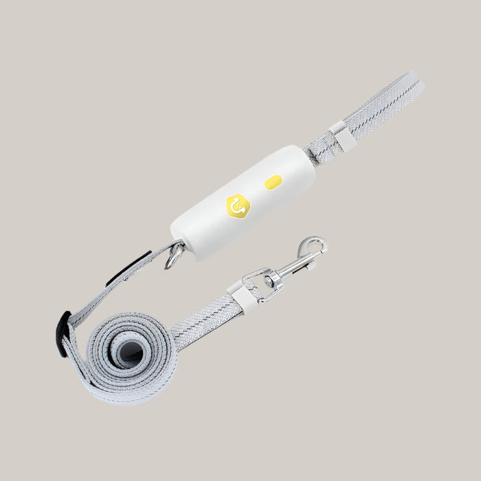 Elastic Handheld Dog Leash White Elastic String Boxed Small And Medium Size