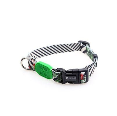 Colorful series of dog collar Cactus