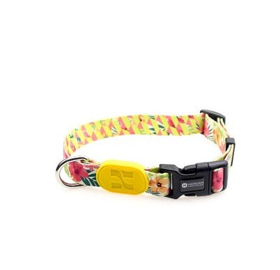 Colorful series of dog collar Flower