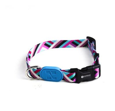 Colorful series of dog collar Alicante