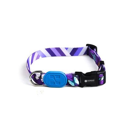 Colorful series of dog collar Butterfly