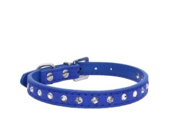Comfort-Fit Dog Collar