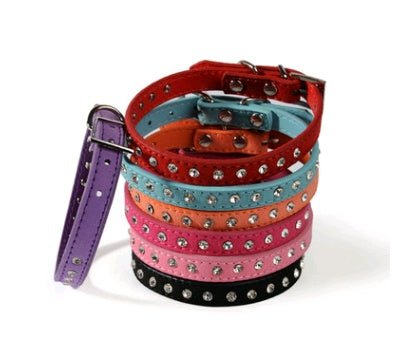 Comfort-Fit Dog Collar