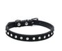 Comfort-Fit Dog Collar