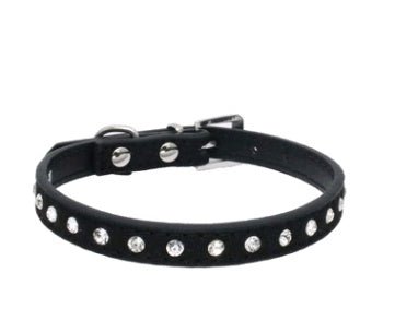 Comfort-Fit Dog Collar