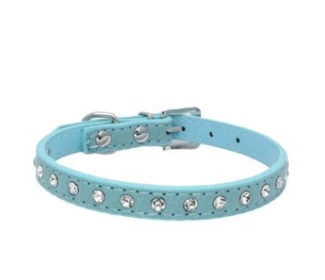 Comfort-Fit Dog Collar