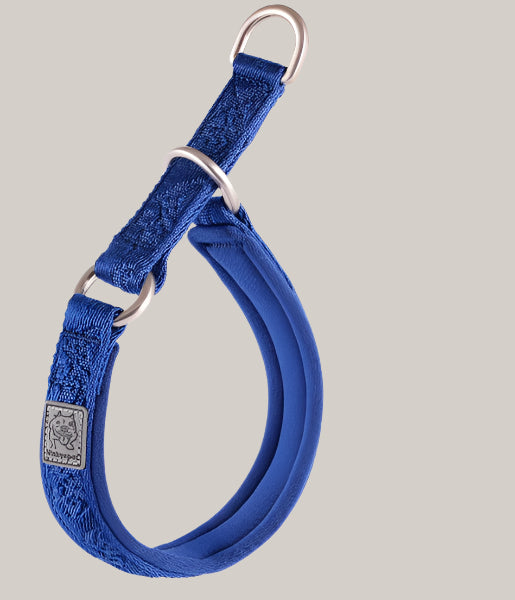 P-Chain Dog Walking Collar Royal blue