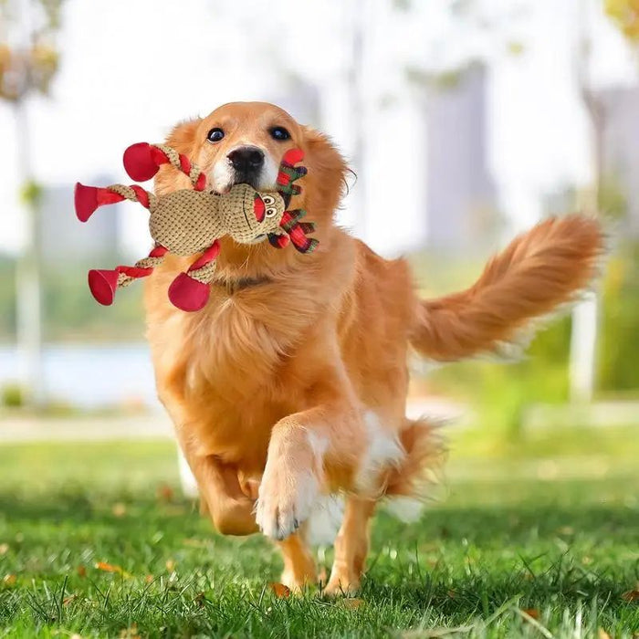 Interactive Christmas Dog Toy