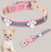 Adjustable Puppy Collar with Paw Rivets
