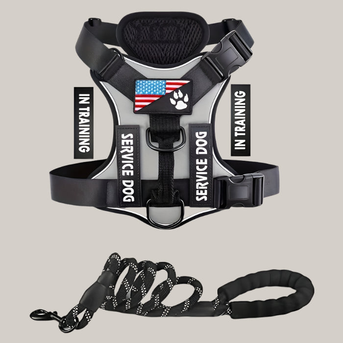 Dog Chest Harness and Leash Set Gray