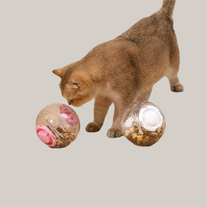 Dog Cat Slow Feeding Ball Food