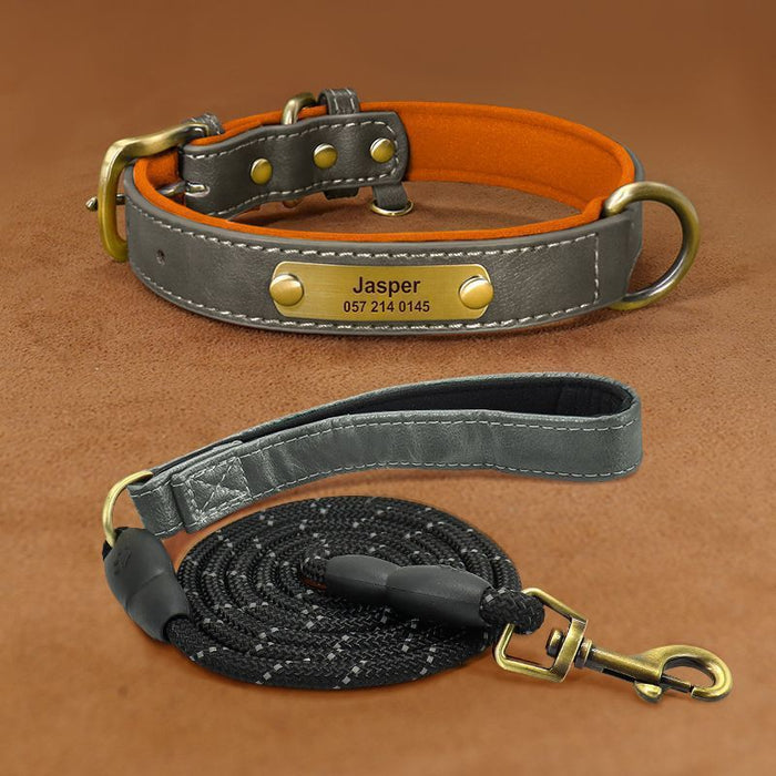 Personalized Engraved Dog Collar Grey suit