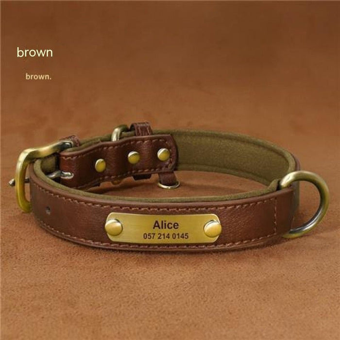 Personalized Engraved Dog Collar Brown