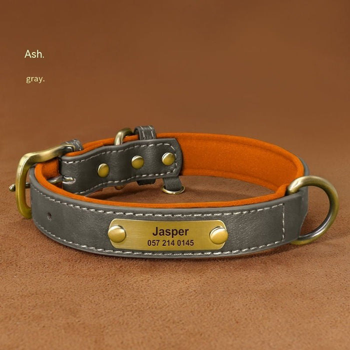 Dog Collar Engraved With Lettering Grey
