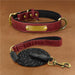 Dog Collar Engraved With Lettering Red suit