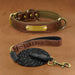 Personalized Engraved Dog Collar Brown suit