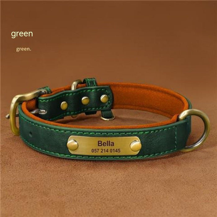 Dog Collar Engraved With Lettering Green