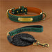 Personalized Engraved Dog Collar Green suit
