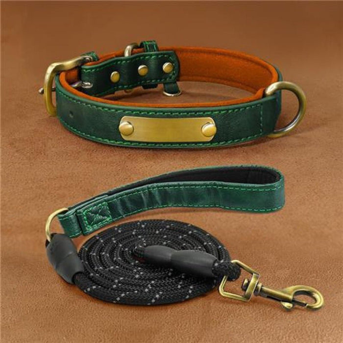 Dog Collar Engraved With Lettering Green suit