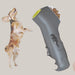 Interactive Training Toy for Dogs