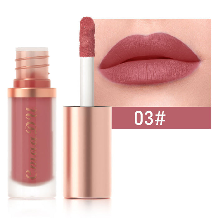 12-color Lipstick Velvet Lip Gloss