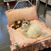Dog and Cat Bed Light pink