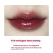 2.2 mL Mirror-Finish Lip Gloss – 6 Shades 01Raspberry Oolong 2.2ML