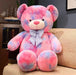 Teddy Bear Plush Red pink blue