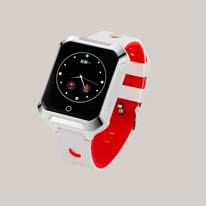 Large-Display Activity Watch