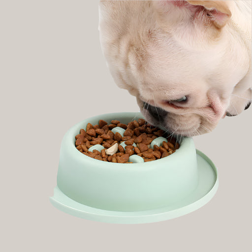 Pet Slow Food Bowl Anti-choking Food Apparatus