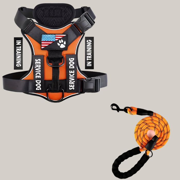 Dog Chest Harness and Leash Set Orange