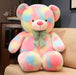 Teddy Bear Plush Pink yellow blue